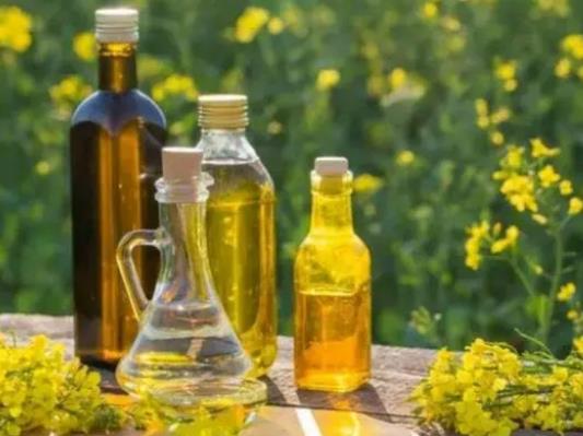 菜籽榨油机维护保养方法及常见故障的解决办法