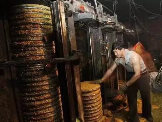 农村自榨油还能吃吗？中国吃了几千年的油，为何被专家口诛笔伐？或许跟你想的不一样