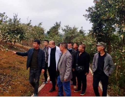 外资轻松拿捏14亿人的食用油，古法榨油不过检，百姓榨油不合法？