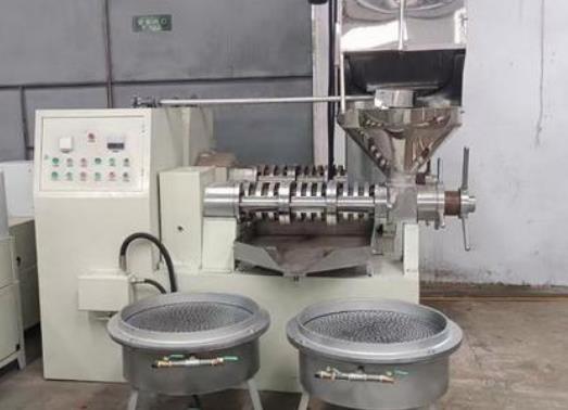 震动清理筛、比重去石机，原料清理榨油成套设备