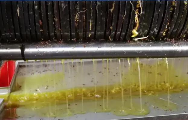 液压榨油机压榨出的油是否可直接食用？