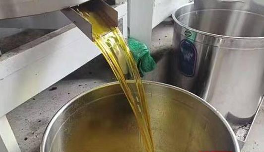 “榨油厂”变身“致富宝典” 助力乡村振兴 