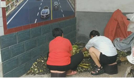 河北行唐农民为什么种葵花籽榨油而不种花生？