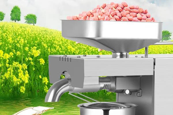 靓太家用全自动小型榨油机