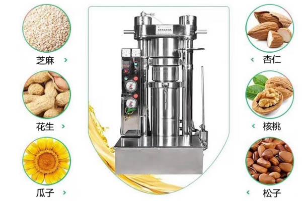 液压榨油机立式芝麻香油机