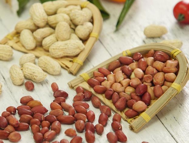 榨油原料-花生的简单介绍