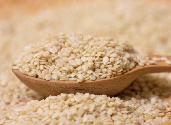 榨油原料-芝麻的简单介绍