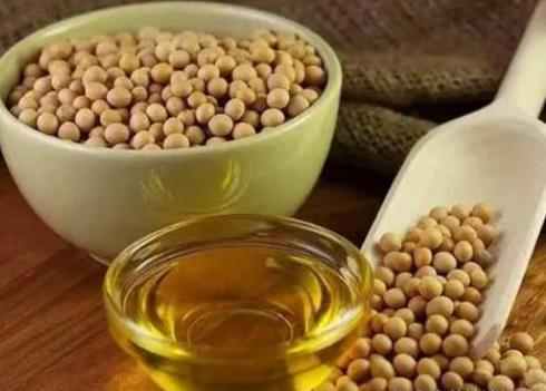 植物中提取食用油工艺方法-浸出法制油