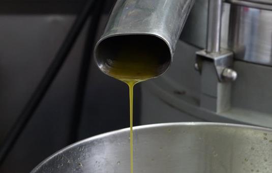 榨油机满足预处理工序要求