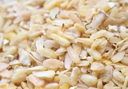 榨油原料-玉米胚芽的简单介绍