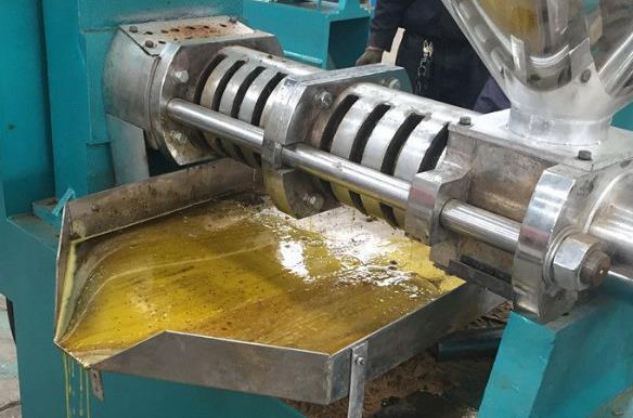 菜籽榨油机加工工艺流程