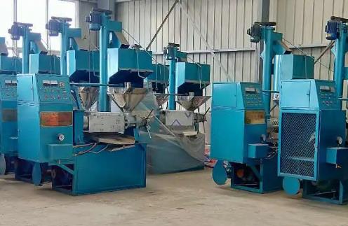 芝麻榨油机多项优势（优点）受市场青睐