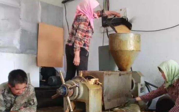 胡麻榨油机工作原理