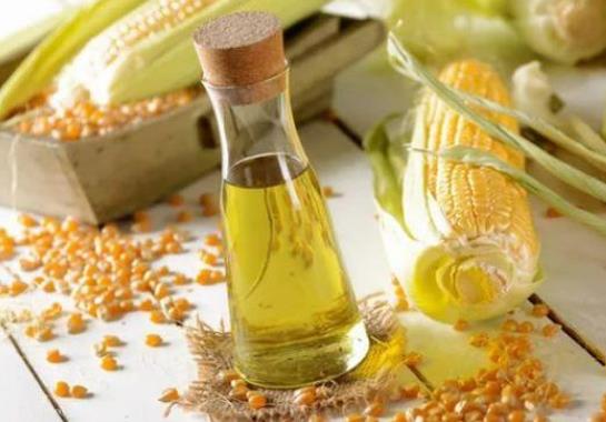 玉米胚芽制油脂技术工艺