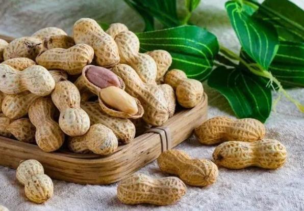 新出土的花生不适合使用液压榨油机压榨