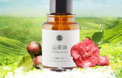 山茶油的功效、鉴别和影响