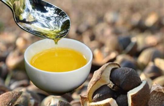 食用油存放多长时间为宜