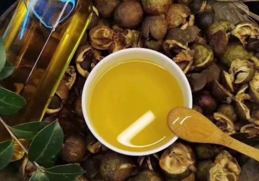 为大家普及一下茶油的相关知识介绍