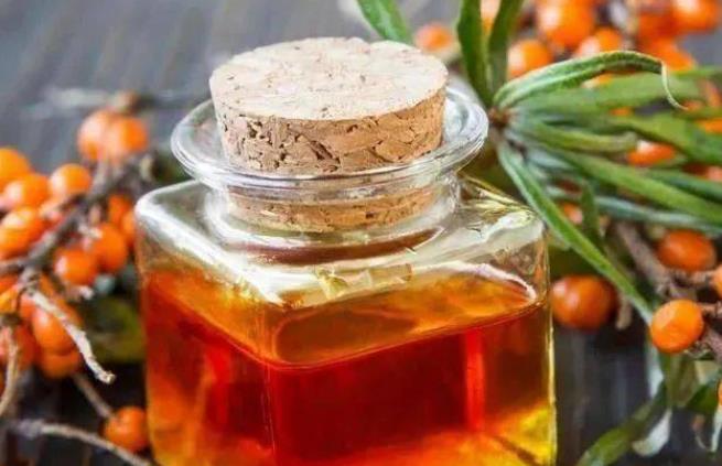 沙棘油有什么营养功效